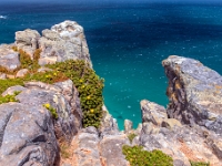 Cape Point Nature Reserve